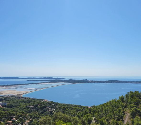 Om uw vragen te beantwoorden Veelgestelde vragen