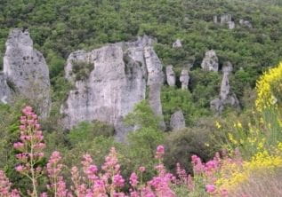 Wandelen – Les Aiguilles de Valbelle