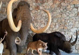 Museum van de Prehistorie en historische grot – Quinson