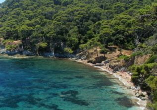 Strand “Darboussières”