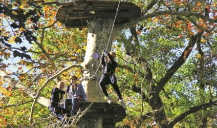 Boomklimmen en springen